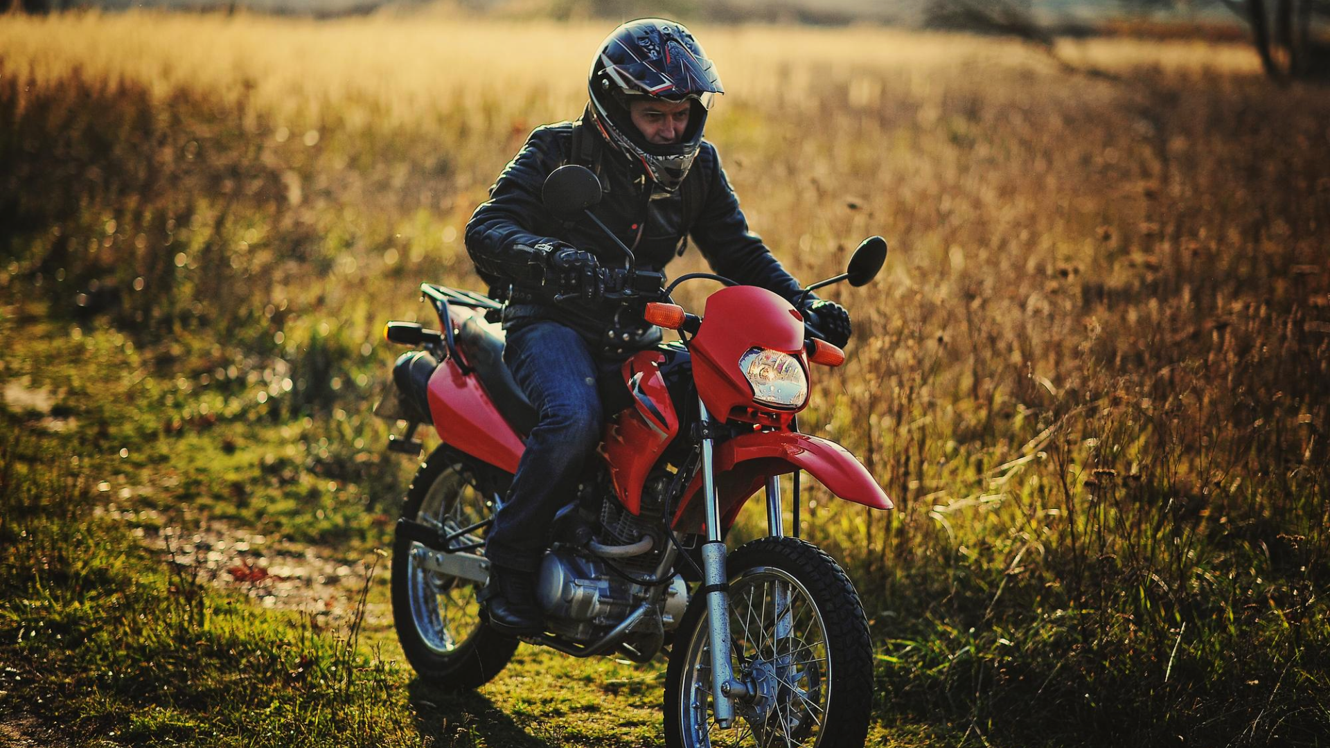 Untitled-4-automovel